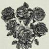 allofyourlight